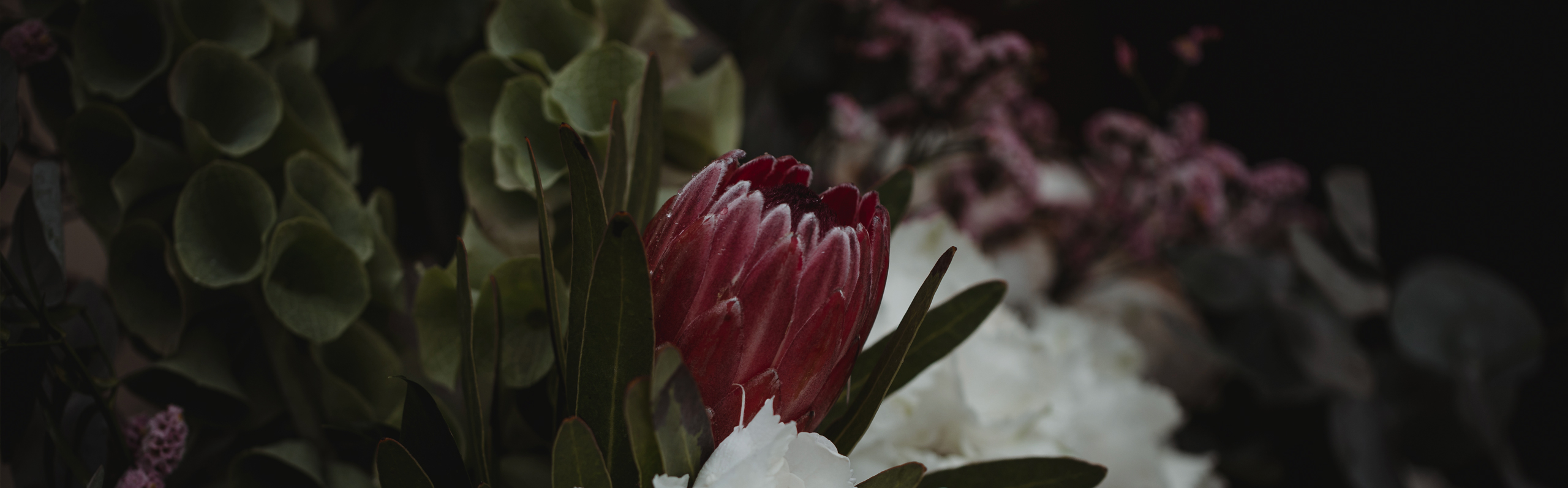 Martina Zilio fotografo matrimoni padova colli euganei fiori nozze